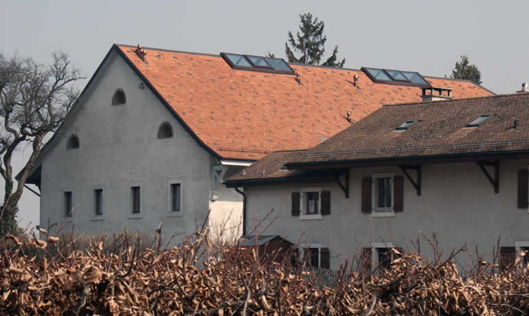 RealVilla_JFR05